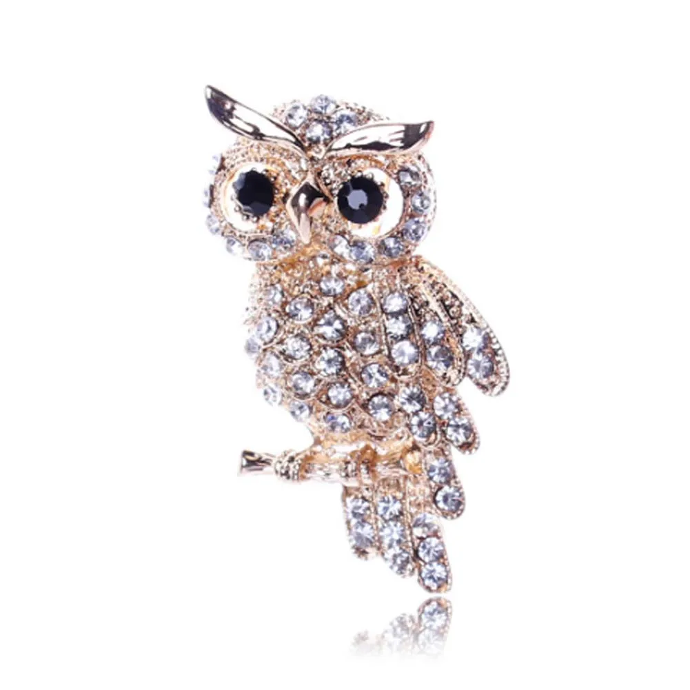 Новые большие птицы Совы винтажные антикварные брошки букет Owle Pin Up дизайнер свадебный брошь шарф зажимы ювелирные изделия