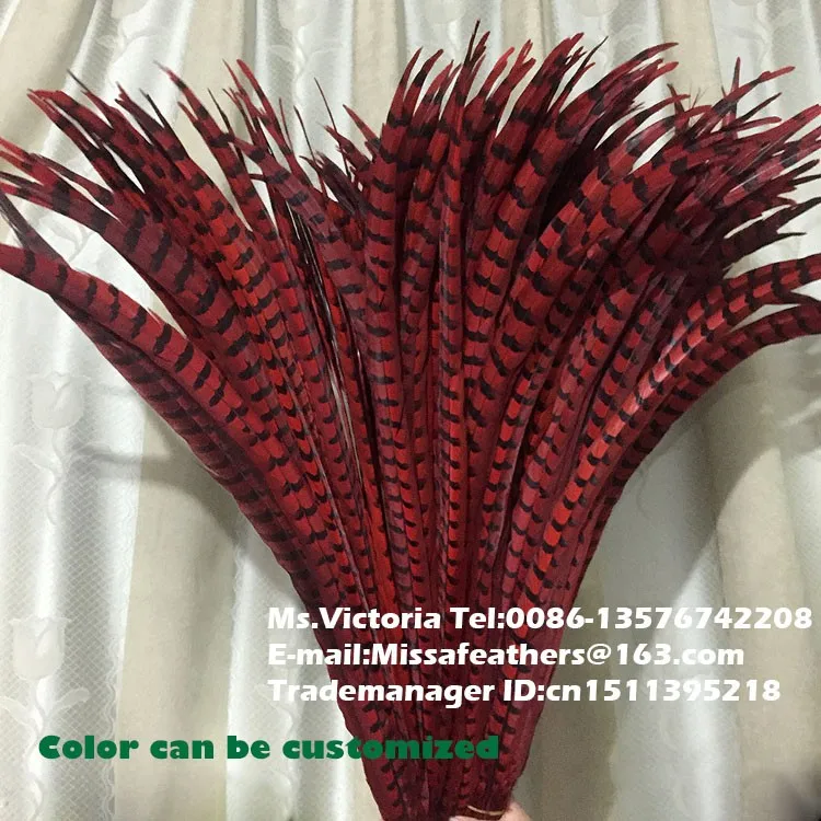 HTB1dPsGNVXXXXbaXFXXq6xXFXXXv