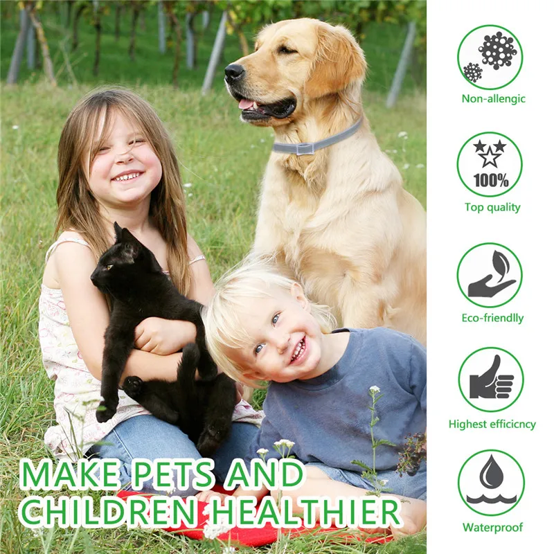 Dewel Pet Dog Collar Anti Flea Ticks Mosquitoes Insect (5)