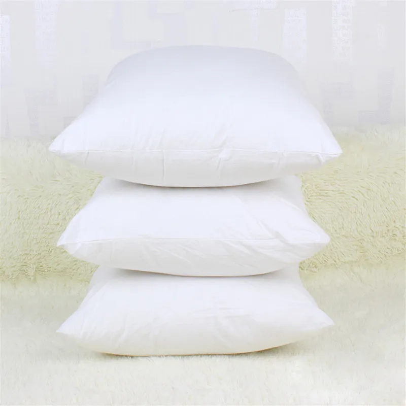 pillow core04