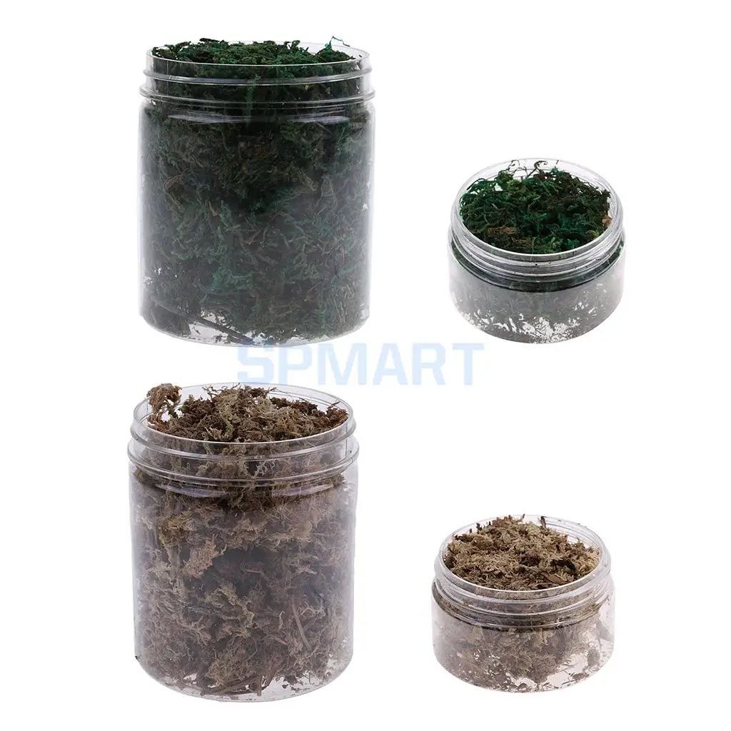 100ML/500ML Dry Grass Model Moss for Layout Terrain Vegetation Diorama Building Toy