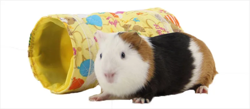Cartoon print hamster tunnel 1