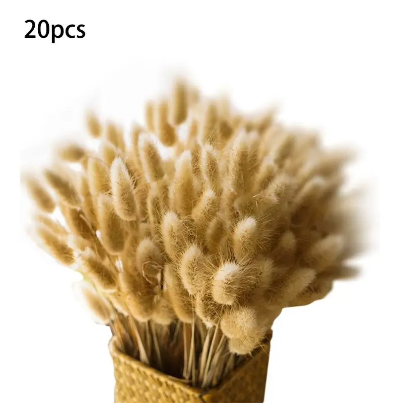 

20PCS Really Natural Dried Flower Branch for Farmhouse Style Antique Floral Furniture Wedding Decoration