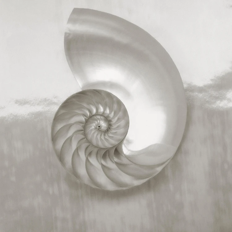 

photographic picture print on canvas black and white pictures seascape pictures Assaf Frank beachside treasure canvas painting