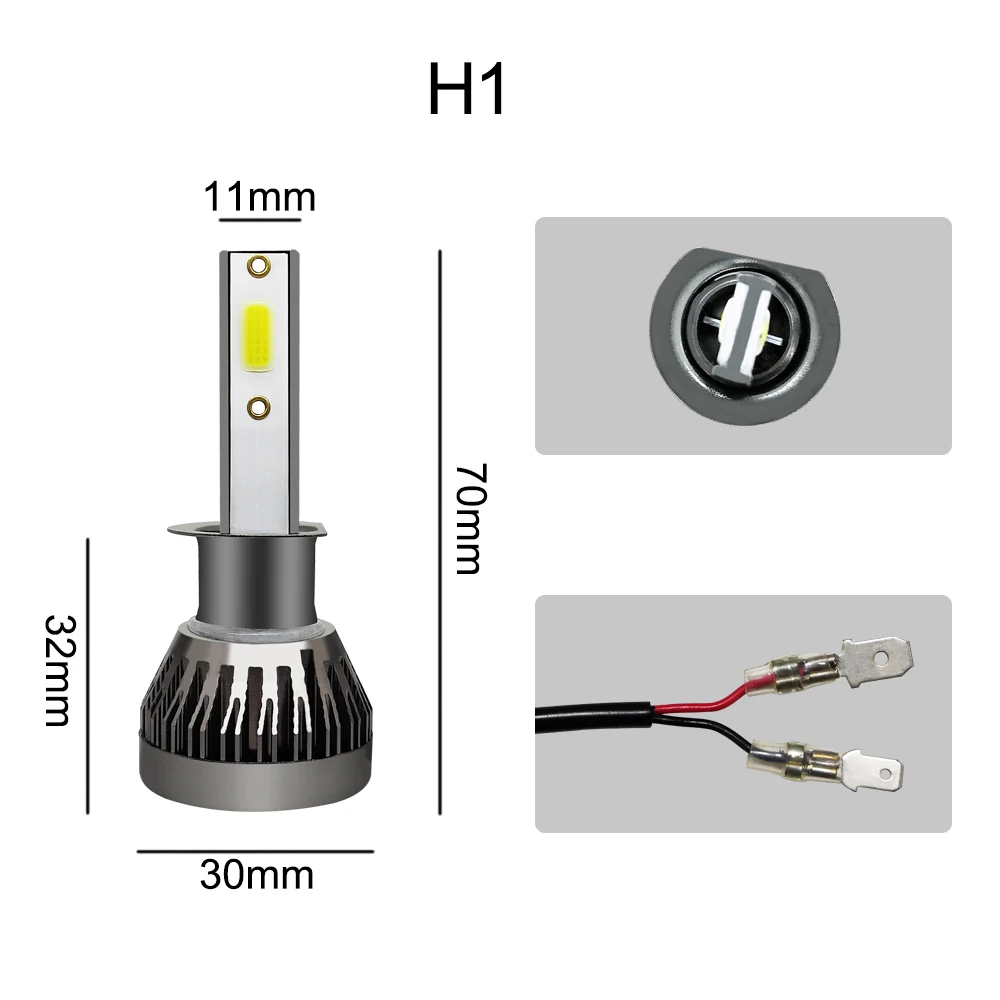 H1