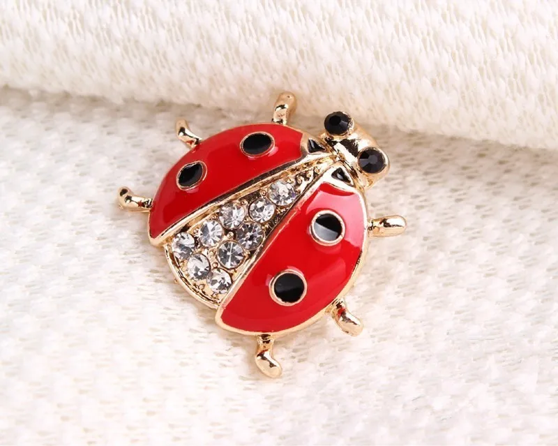 HTB1p62dJpXXXXc5XFXXq6xXFXXXJ