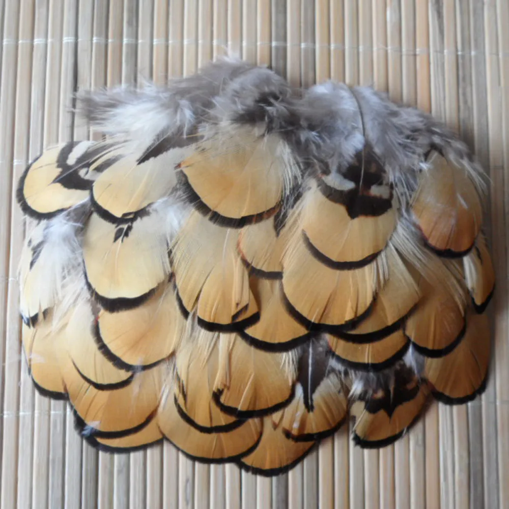 

20 PCS pheasant feather 2-4 natural beauty 5-10 cm