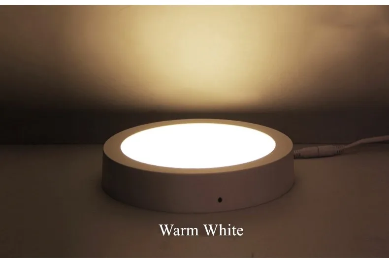 led downlight  (23)