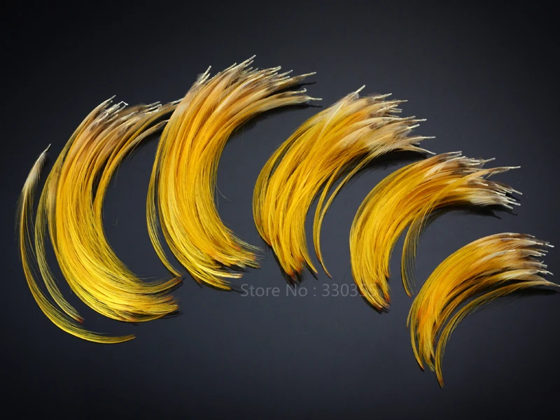 Buy Hand Selected Golden Pheasant Crest Feathers Natural Fly tying material