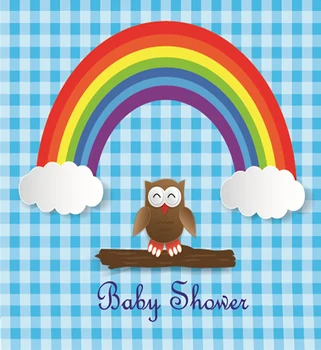 

VinylBDS Photography Backdrops 10X10 Owl Rainbow Clouds For New Baby Kate Background Backdrop