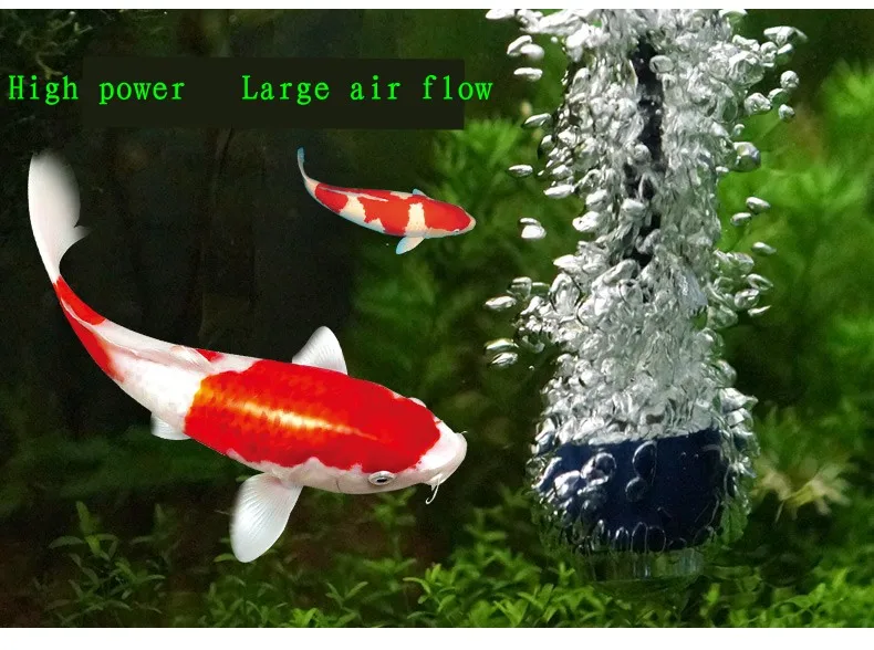 581c777dN3ff38ad2_conew1