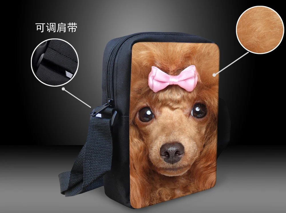 HTB1uVLsnf9TBuNjy0Fcq6zeiFXaL