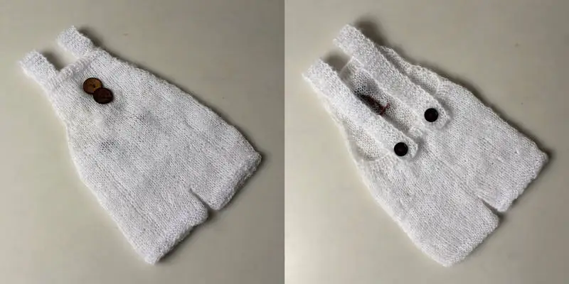 8828244732_827780668