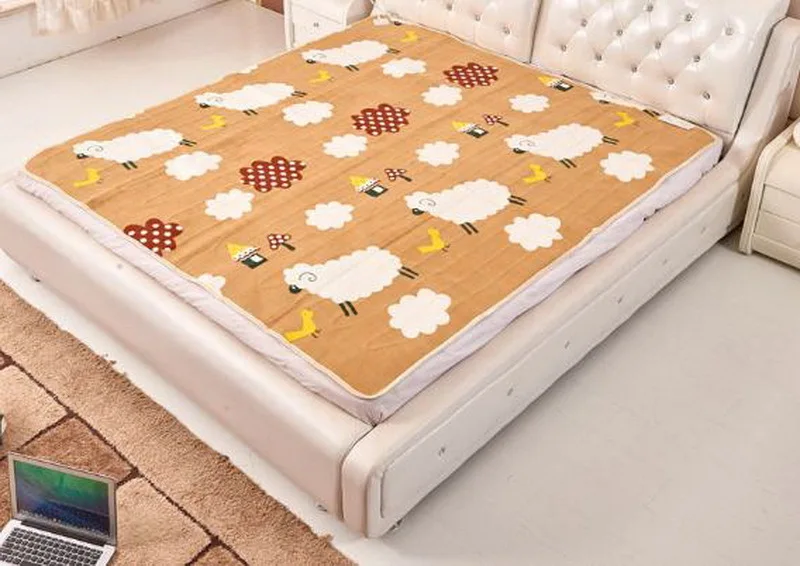 

Electric Blanket Plush Double Heated Blanket Security Blanket Thicker Single Electric Mat Body Warmer Heater for Winter/tb111032