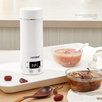 

Dual Voltage Electric Kettle Travel Hot Wtater Heating Cup Heater Stew Quikly Cooker Portable Boiler Thermal Tea Pot 110-220V