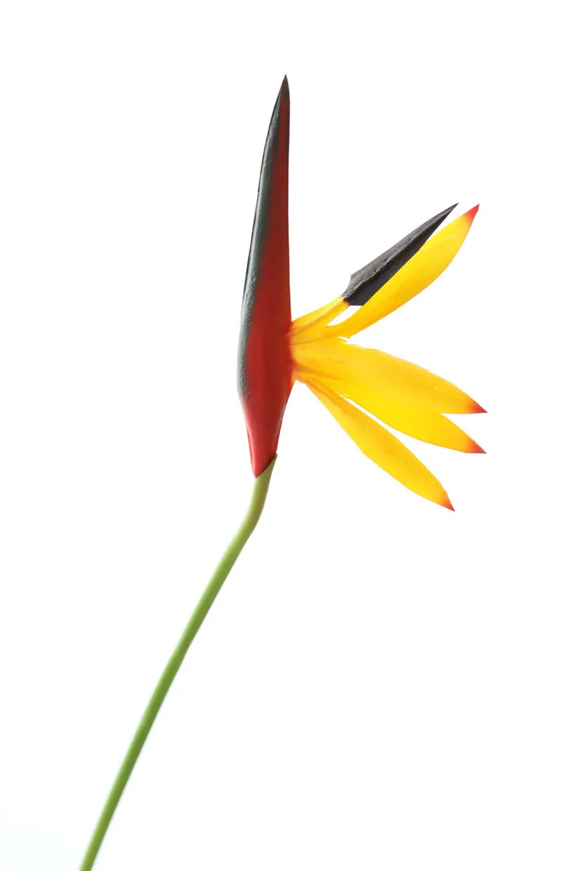 Искусственный цветок райская птица поддельный цветок стрелитция Пластиковые цветы для дома и сада Украшение наружный макет Цветочная композиция - Color: Red