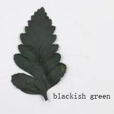 Blackish Green 100 шт 2-5 см прессованный высушенный мини полынь листья растение Гербария для Ювелирная Закладка чехол для телефона пригласительная открытка ручной работы DIY - Цвет: Blackish Green