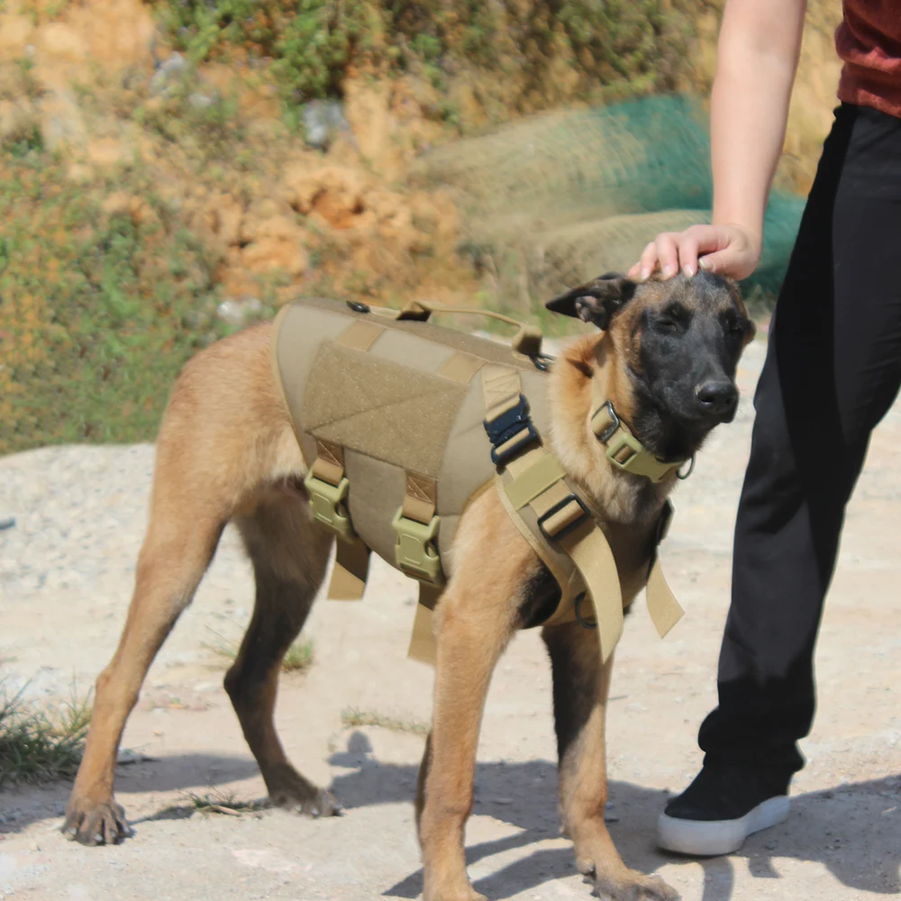 dog vest harness velcro