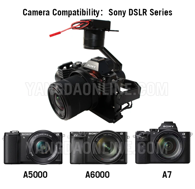 Z6K-PRO 02
