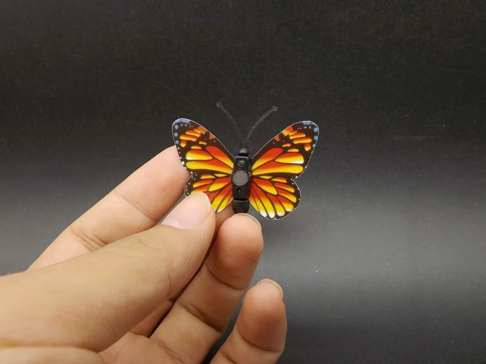 I258-Butterfly (4)