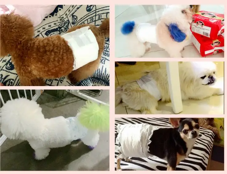 pet-diapers (16)