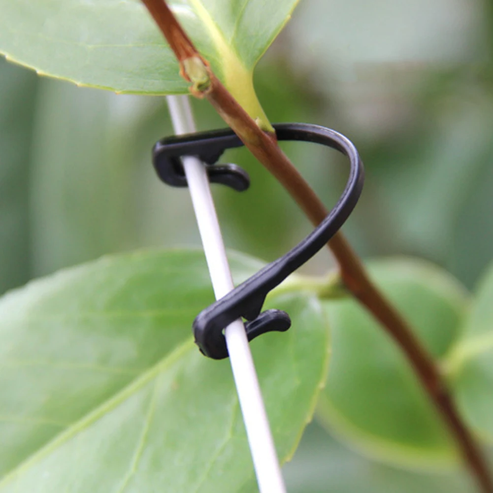 

100Pcs Garden Stems Vegetable Grafting Clips Agricultural Plant Hook Supports Vines Fastener Bundled Tied Buckle Tools Fixed #5