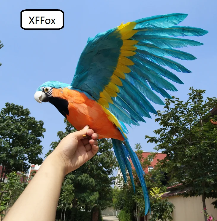 HTB1CjA1SpXXXXaVXVXXq6xXFXXXt