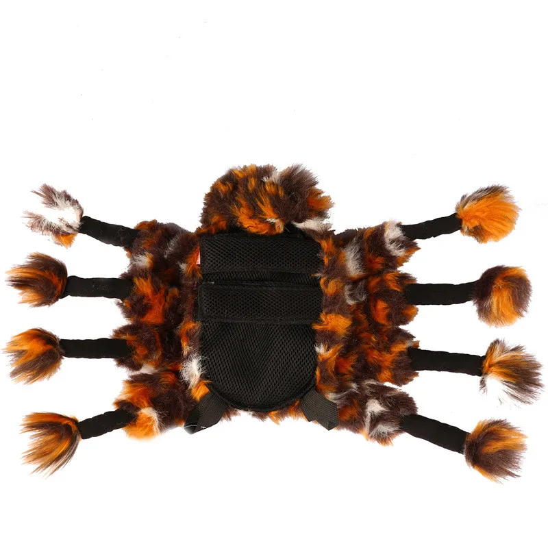 pet 12