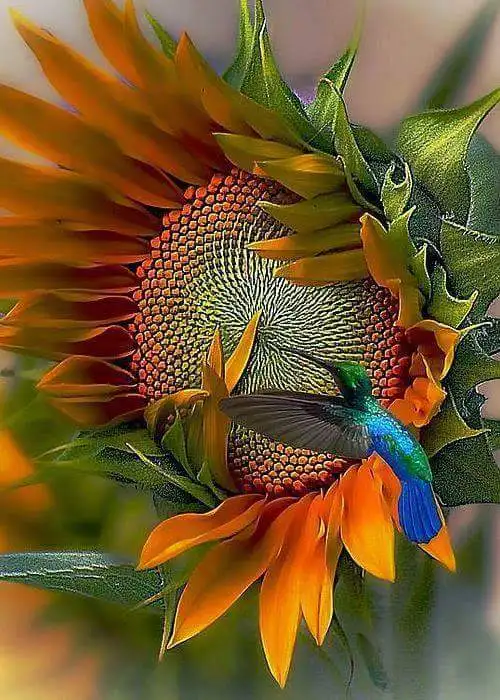 UTB8MGXYnv2JXKJkSanrxh53lVXaQ