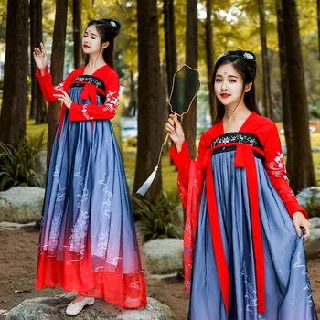 

Qing Dynasty Hanfu Costume Chinese Traditional Tang Dynasty Ancient Dress Women Folk Fairy Dance Cosplay Performance Wear DL4134