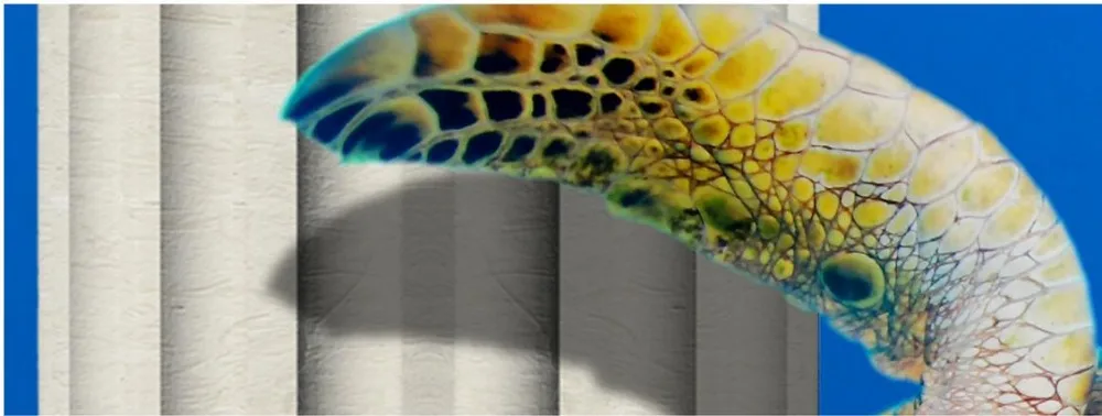 36020160414140317141