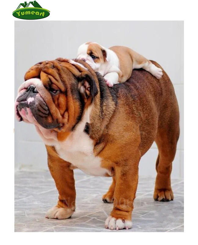 

5D Diy Diamond Painting Cross Stitch Diamond Embroidery Bulldog & Dog Baby Diamond Mosaic Square Pattern Rhinestone Needlework