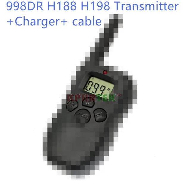 998DR1_009_1
