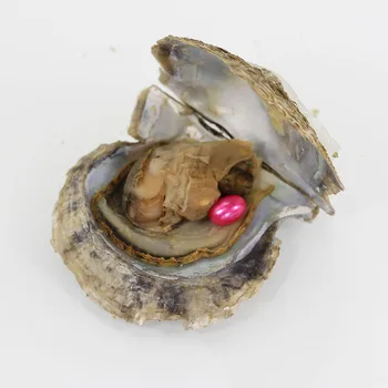 

Single Rice Pearls AAAA Pearls in the Akoya Oysters 18 Colors Dyed Pearl Oysters Vacuum-packed Gift Love Wish Pearls FP217