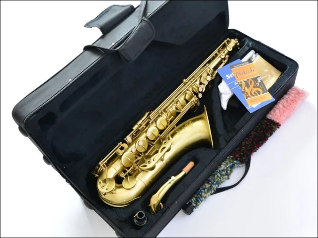 Cheap FREE SHIPPING DHL France's Selmer Sax France  B fla Tenor Sax Matt wiredrawing reed bag mail package