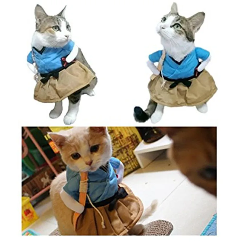 Забавный костюм кошки, Униформа, костюм кошки, одежда, костюм одежда для щенков, нарядный костюм, праздничная одежда для кошки, одежда для костюмированной вечеринки