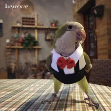 Gingerain одежда с птицами попугай Одежда Маленький принц ручной работы на заказ одежда с птицами свитер с капюшоном Маленький принц