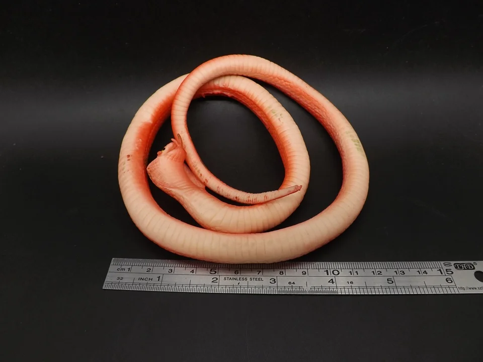 J211 (11)