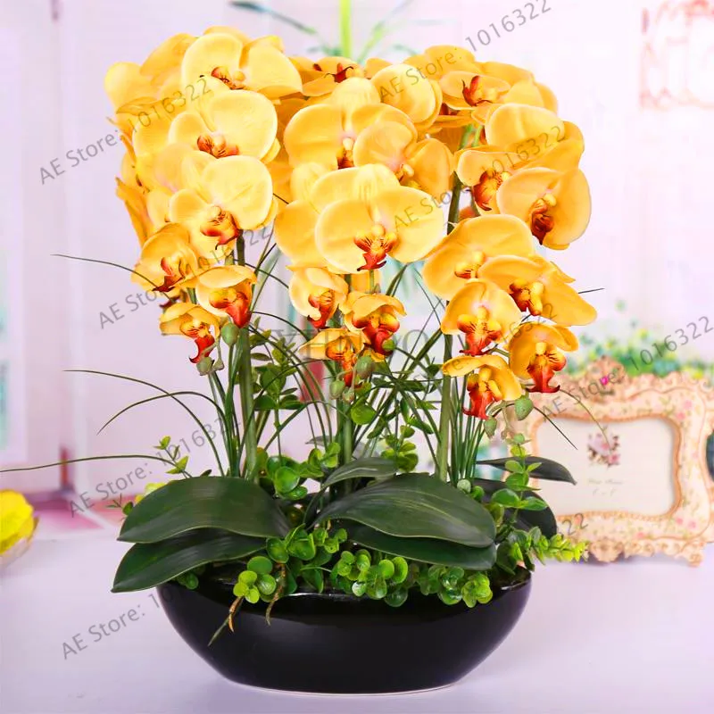 Новинка! Phalaenopsis люкс для гостиной, украшение интерьера, цветы в горшках, 20 бонсай,# A961TL