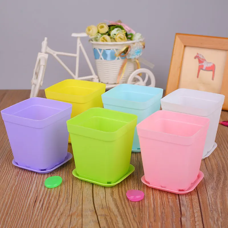 

6 Color Flower Pots ABS Multi-Meat Plant Dedicated Basin Colorful Dedicated Basin Planters Succulent Home Garden Decoration