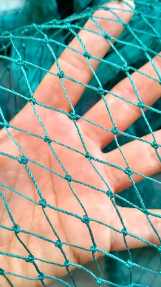 Aliexpress 10 M Garden Fence Mesh Green Color Safety Aliexpress 10 M Garden Fence Mesh Green Color Safety Poultry And Pets Simple Breeding Net Fishing Gardening From Reliable
