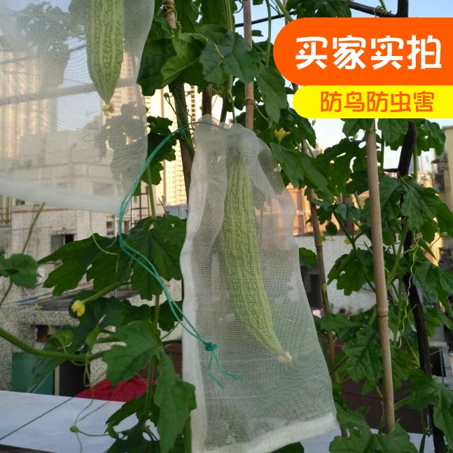 insect-anti-bird-mesh-40-mesh-nylon-net-bags35x25cm-of-seed-soaking-fine-grape-fruit-bag-custom-pitaya-bag