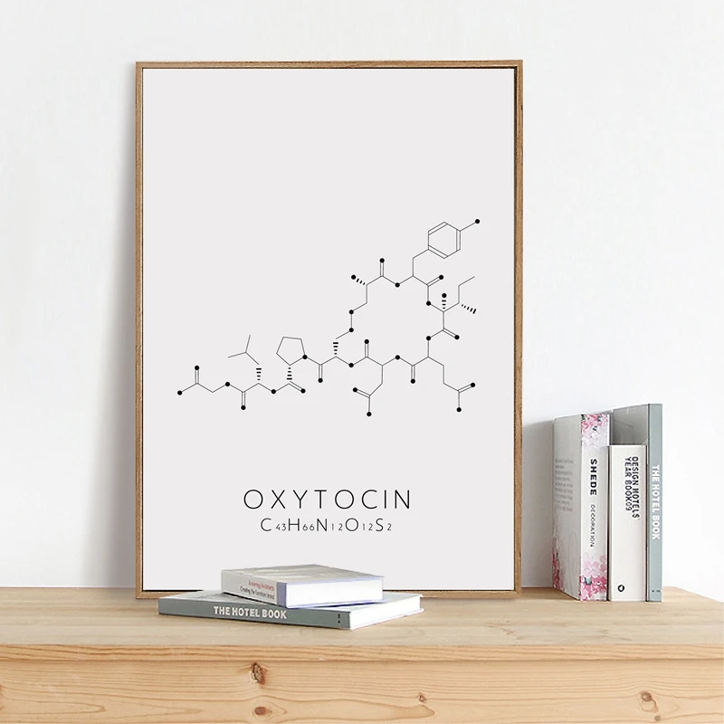 Molecular Structure Canvas Art Picture Office Decor