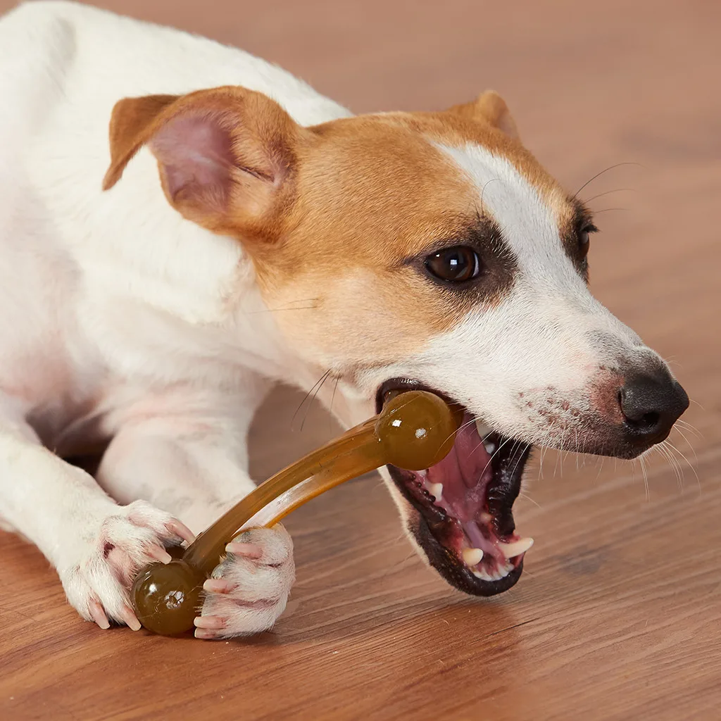 

Interactive Bite Soft Dog Chew Toys Pet Dog Toys Chew Double Arch Bone Biting Molar Trainging For Pet Supplies Training Products