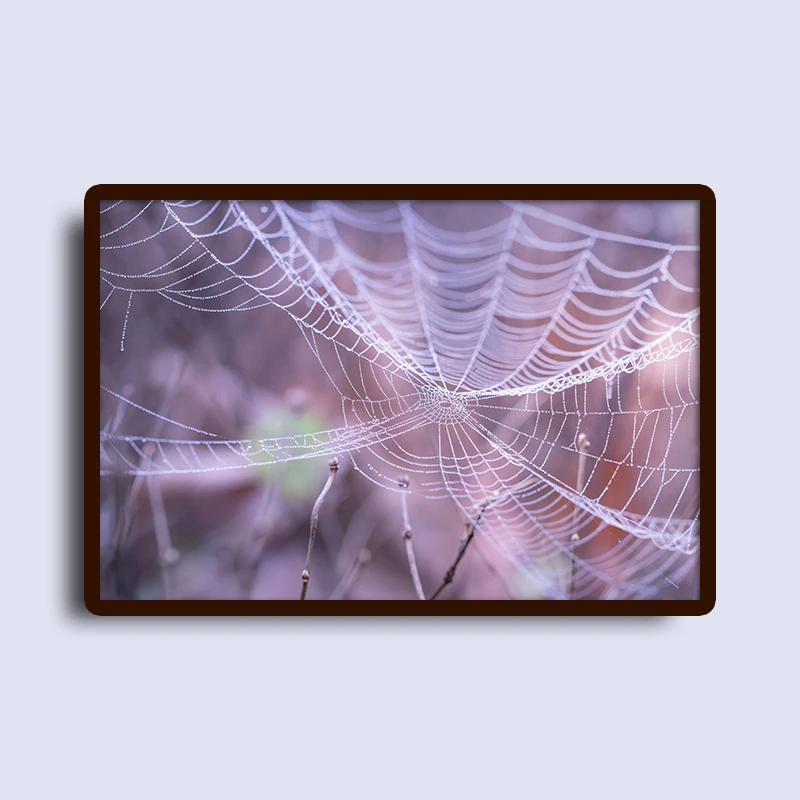 30x20 (7)