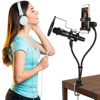 

HobbyLane Microphone Suspension Arm Stand Mount Set for Mobile Phone with Clip Mic Stand Mount Set d25
