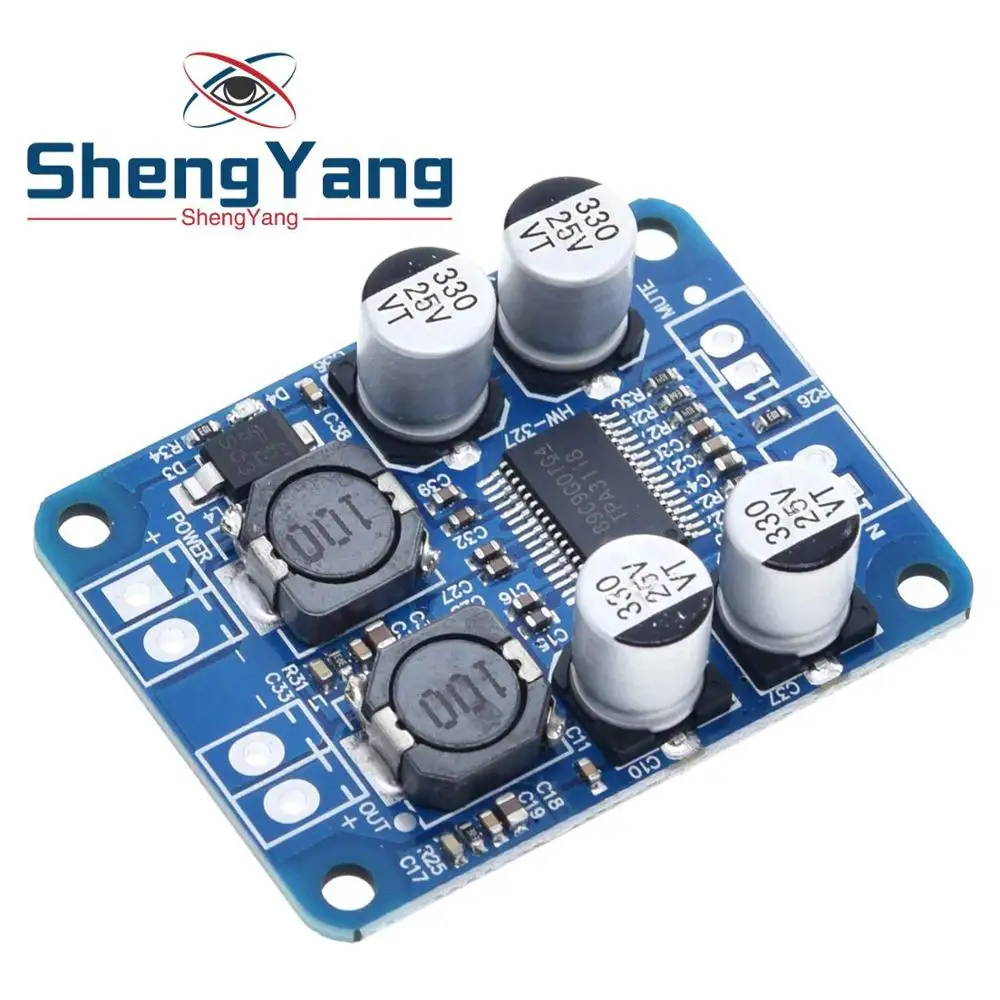 1PCS ShengYang DC 12V 24V TPA3118 60W Mono Digital Audio Power