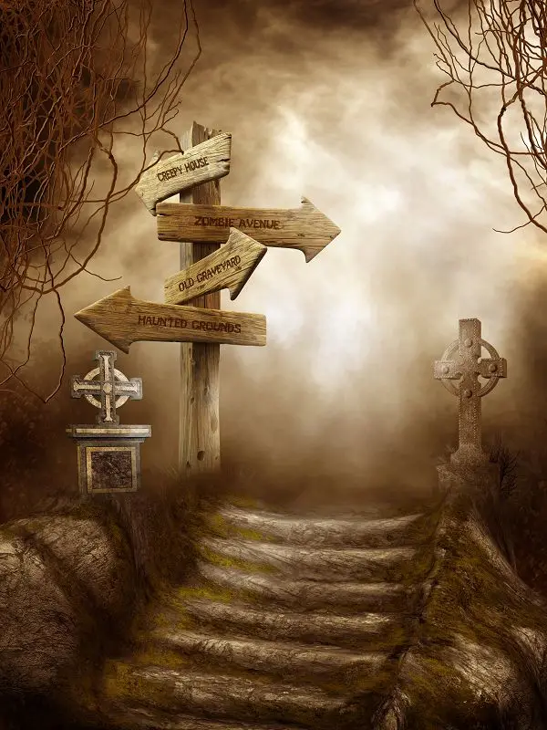 

200cm*150cm vinyl backdrops for photography Step roadmap hazy  halloween backdrop backgrounds WSJ-045