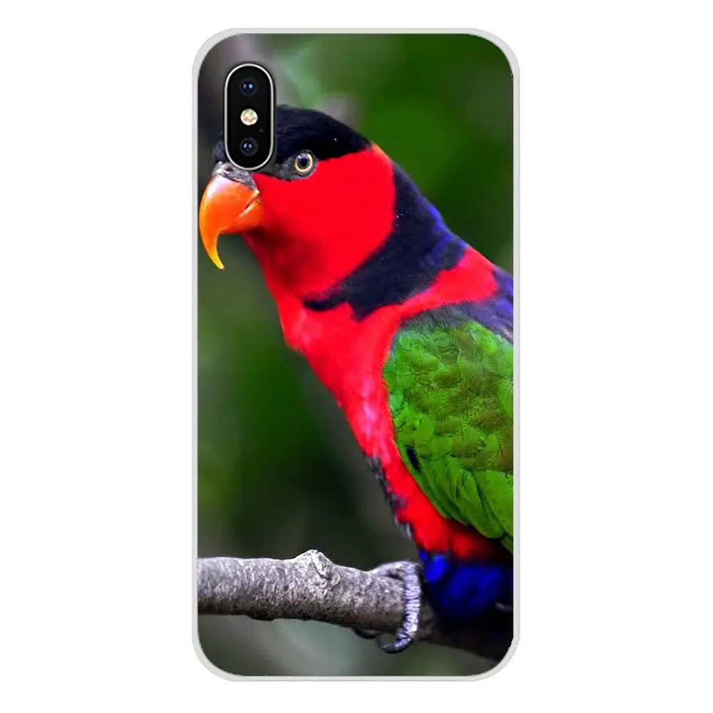 Аксессуары чехлы для телефонов Чехлы Apple iPhone X XR XS MAX 4 4S 5 5S 5C SE 6 6S 7 8 Plus ipod touch