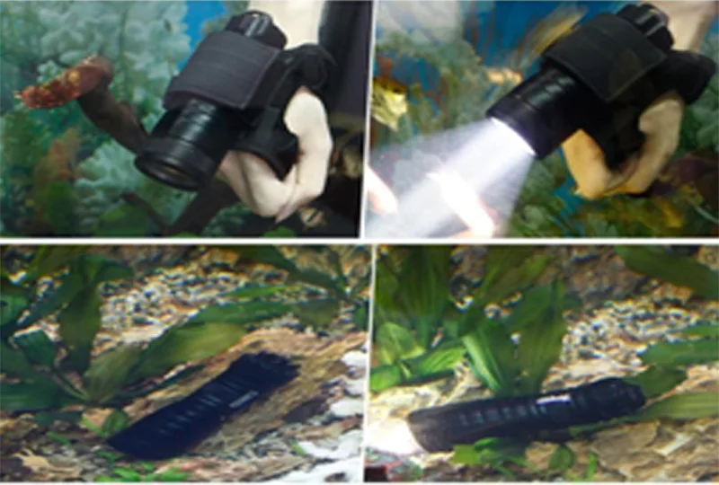 real picture underwater